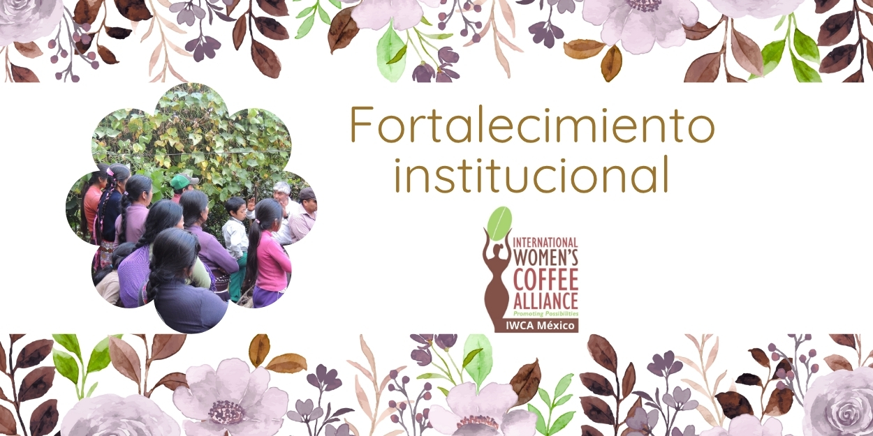 Fortalecimiento Institucional