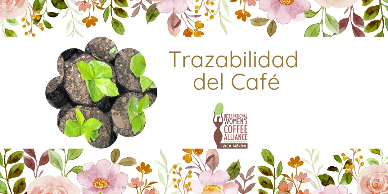 Trazabilidad del Café