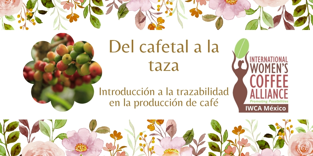 Del Cafetal a la Taza: Introducción a la Trazabilidad en la Producción de Café